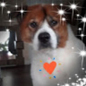 Meet your Posher, Cheryl ann